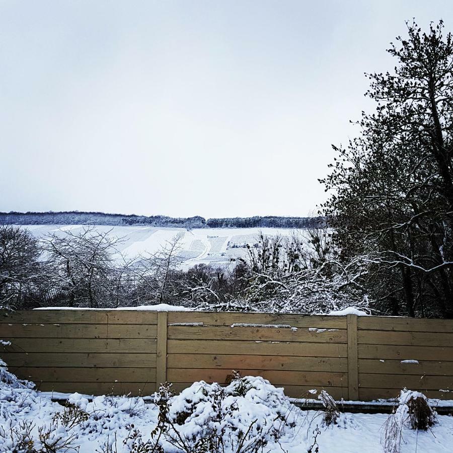 Gîte Millésime et une Nuit Villers-sous-Châtillon Esterno foto